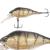 wobler-fox-rage-funk-bug-dr-5cm7g-uv-Striped-Shiner-.jpg