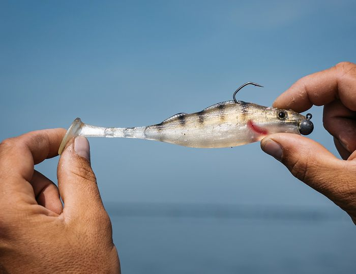 GUMA-PRZYNETA-BERKLEY-REALISTIC-PERCH-PODOBNA-DO-SEWRO-2.png