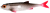 PMFL-7-ROACH-FLAT-FISH-5.5cm-ROACH-1-removebg-preview.png