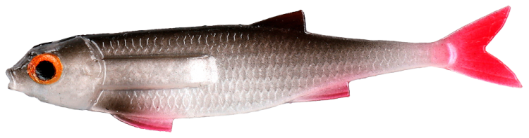 PMFL-7-ROACH-FLAT-FISH-5.5cm-ROACH-1-removebg-preview.png