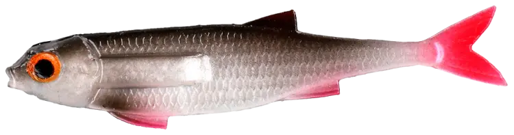 PMFL-7-ROACH-FLAT-FISH-5.5cm-ROACH-1-removebg-preview.png