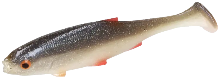 PMRF-10-ROACH-real-fish-roach-1-removebg-preview.png