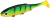 PMRFR-7-FIRETIGER-real-fish-firetiger-1-removebg-preview.png