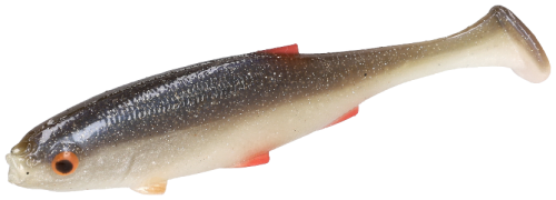 PMRF-10-ROACH-real-fish-roach-1-removebg-preview.png