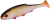 PMRFR-10-RUDD-real-fish-rudd-1-removebg-preview.png