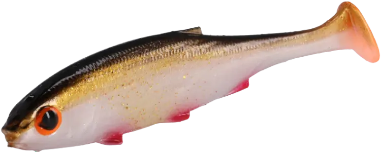 PMRFR-10-RUDD-real-fish-rudd-1-removebg-preview.png
